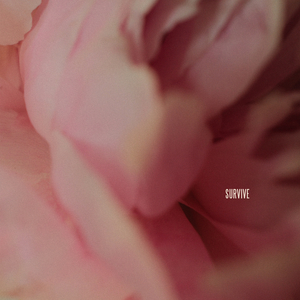 性插有声动态图
